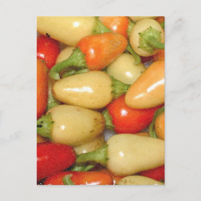 Carte Postale Poivrons chauds rouge jaune et orange (Devant)