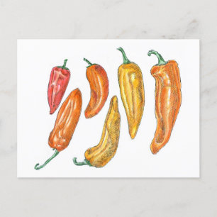 Carte Postale Poivrons doux