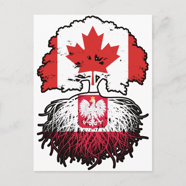 Carte Postale Poland Polish Canadian Canada Tree Roots Flag (Devant)