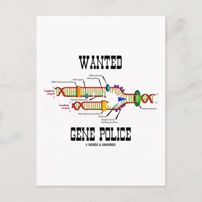 Carte Postale Police génétique Recherchée (Humour de réplication (Devant)