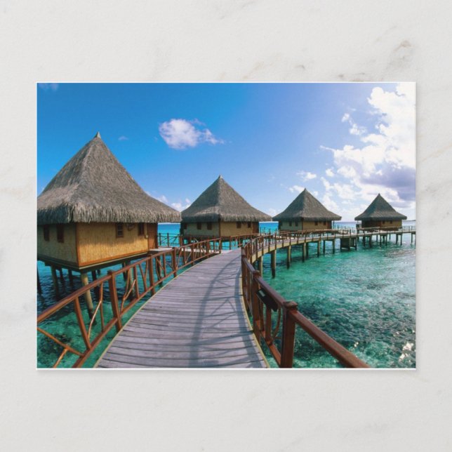 Carte Postale Polinesia Island (Devant)