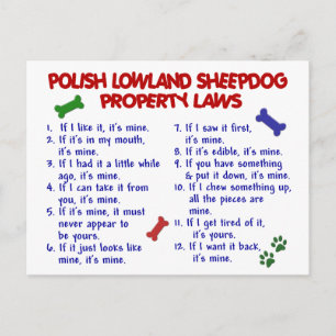 Carte Postale POLISH LOWLAND SHEEPDOG, propriété Lois 2
