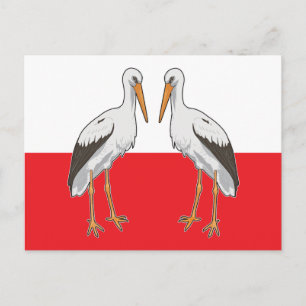 Carte Postale Polish white stork