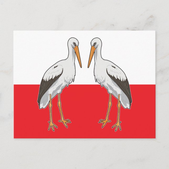 Carte Postale Polish white stork (Devant)