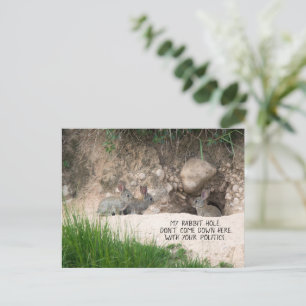 Carte Postale Politique Rabbit Hole Bunny Photo Politique Humour