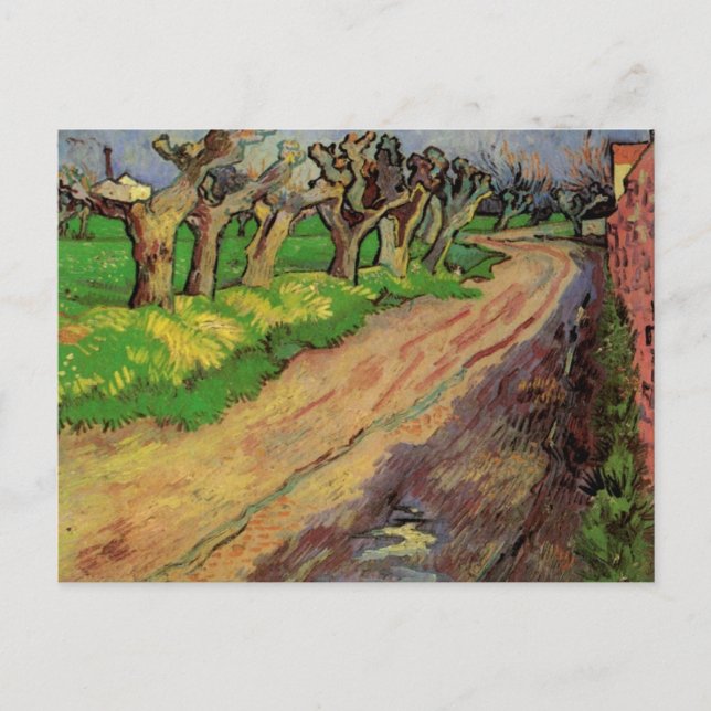 Carte Postale Pollard Willows par Vincent van Gogh (Devant)
