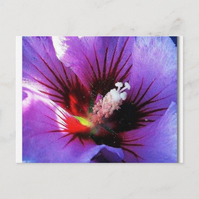 Carte Postale pollen revisité (Devant)