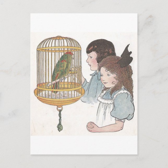 Carte Postale Polly le perroquet (Devant)