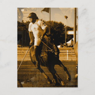 Carte postale Polo