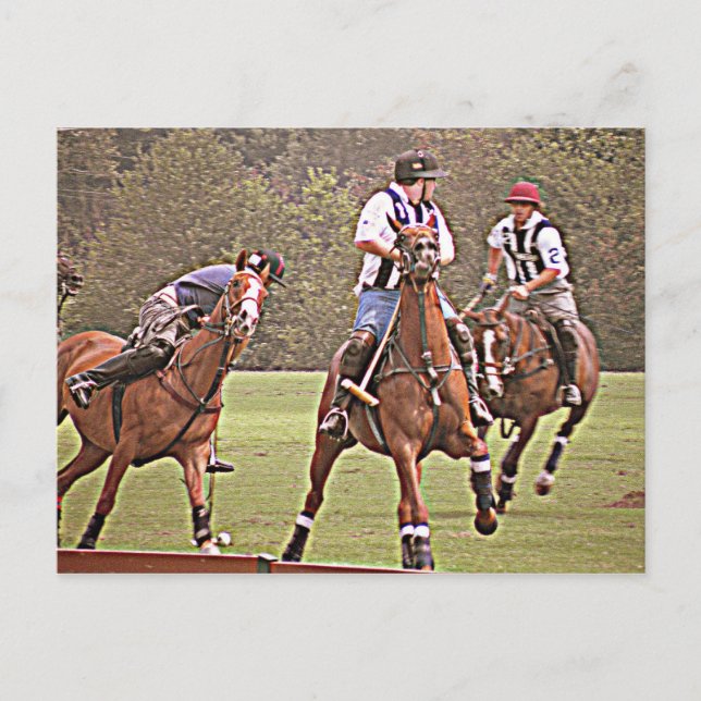 Carte postale Polo (Devant)