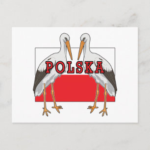 Carte Postale Polonais White Stork Polska