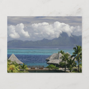 Carte Postale Polynésie française, Moorea. Vue sur l'île
