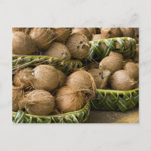 Carte Postale Polynésie, Royaume des Tonga. Présentation de noix