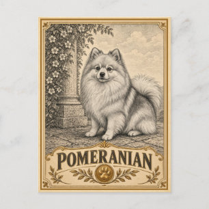 Carte Postale Pomeranian, Chien du Patrimoine Vintage