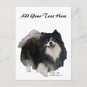 Carte Postale Pomeranian noir