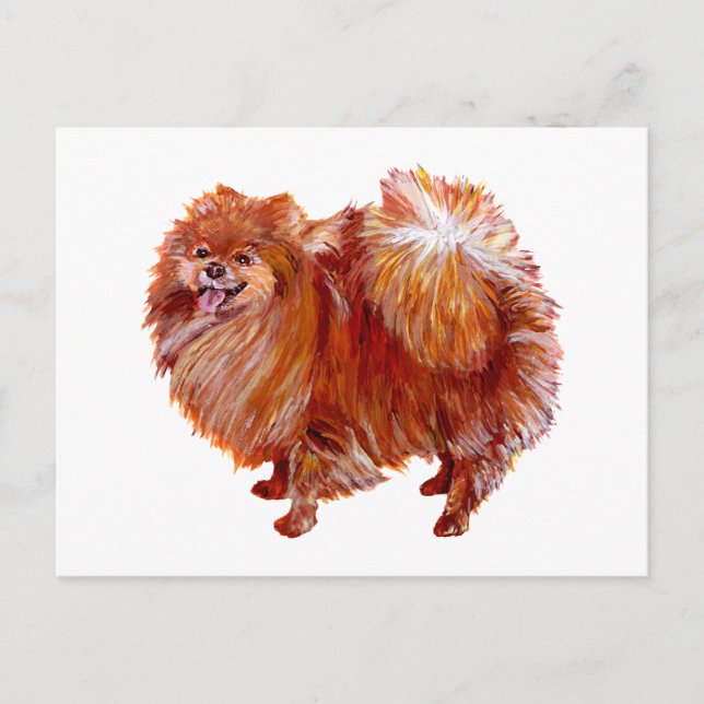 Carte Postale Pomeranian Rouge (Devant)