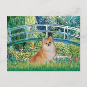 Carte Postale Poméranie 3 - Pont