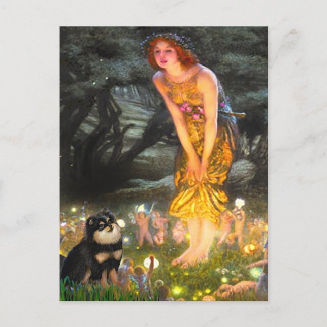 Carte Postale Poméranie (BT) - MidEve (Devant)