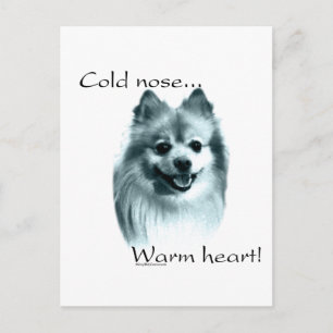 Carte Postale Poméranie Froid Nez Chaud Coeur