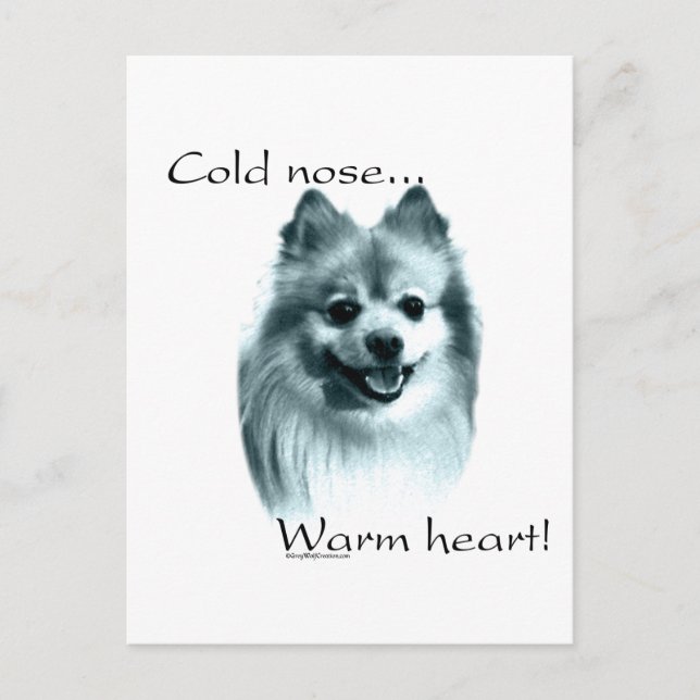 Carte Postale Poméranie Froid Nez Chaud Coeur (Devant)