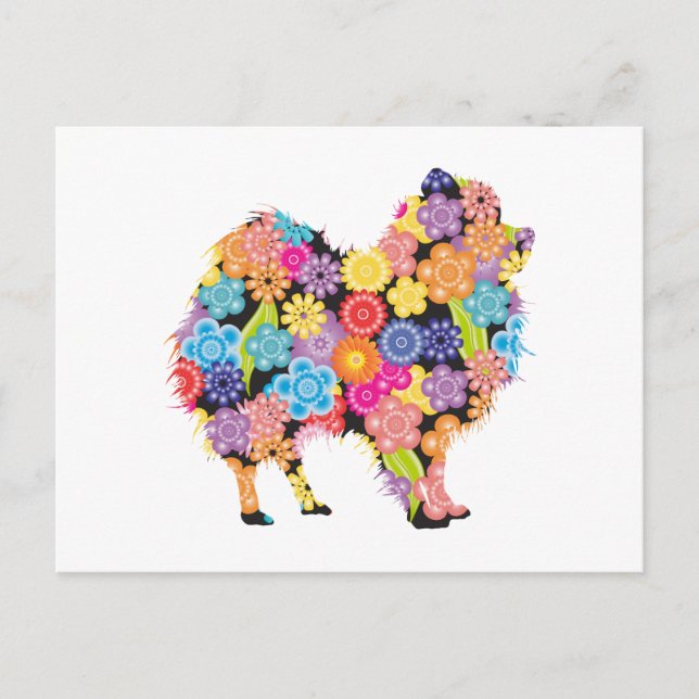 Carte Postale Poméranien (Devant)