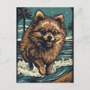Carte Postale Poméranien à la plage