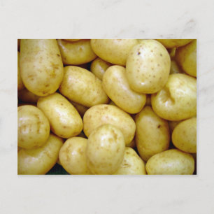 Carte Postale Pomme de terre du Delaware