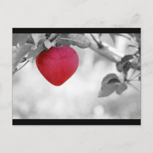 Carte Postale Pomme en forme de coeur rouge dramatique