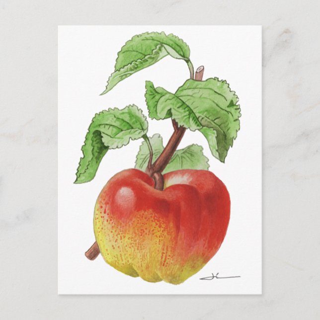 Carte postale " Pomme Jeanne Hardy " (Devant)