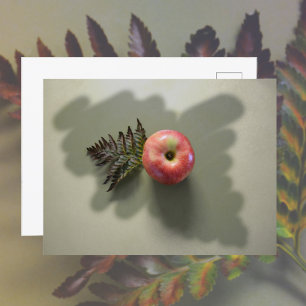 Carte Postale Pomme rouge sur fond vert photographique