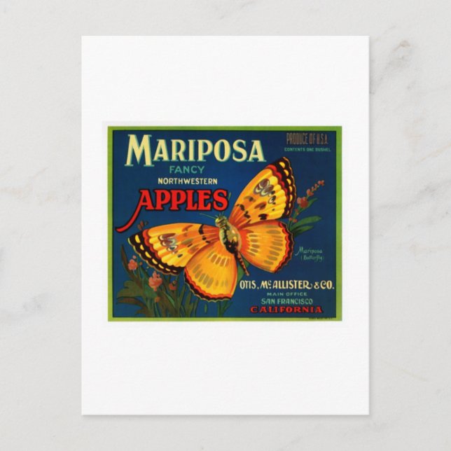 Carte Postale Pommes de Mariposa (Devant)