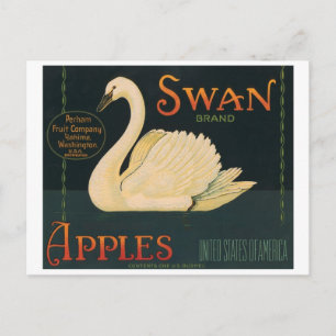 Carte Postale Pommes de marque Swan Vintage Étiquette Crate