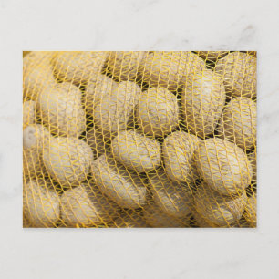 Carte Postale Pommes de terre