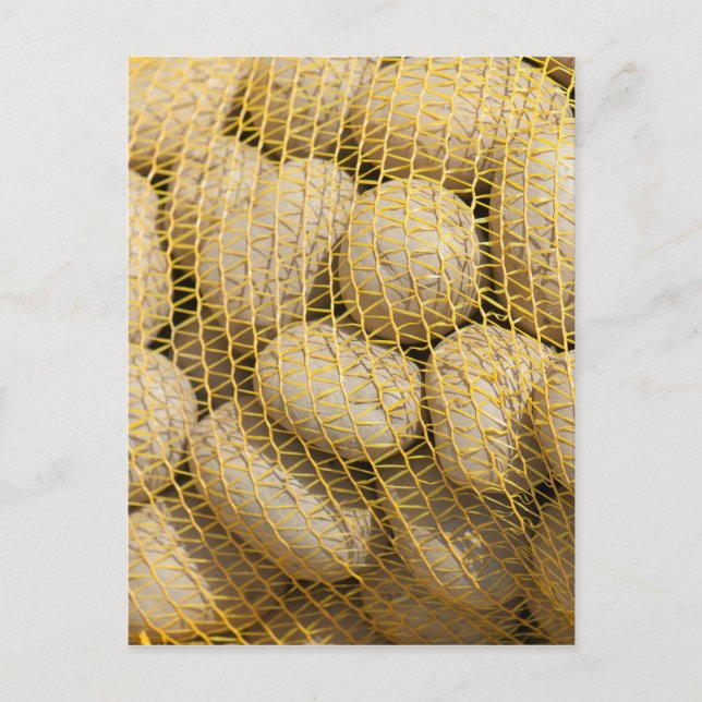 Carte Postale Pommes de terre (Devant)