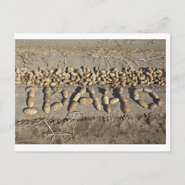 Carte Postale Pommes De Terre Idaho (Devant)