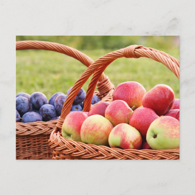 Carte postale Pommes et prunes (Devant)