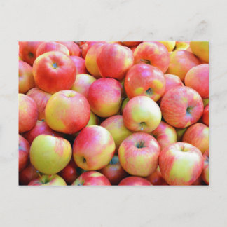 Carte Postale Pommes rouges et jaunes fraîches
