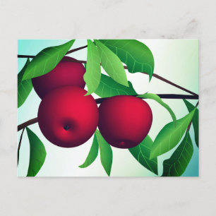 Carte Postale "Pommes sur une branche"