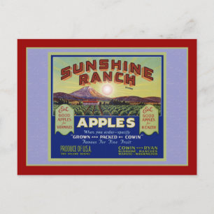 Carte Postale Pommes Wapato Washington