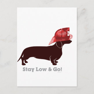 Carte Postale Pompier Dachshund "Restez faible"