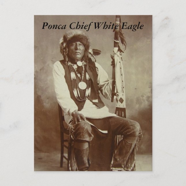 Carte postale Ponca Chief White Eagle (Devant)