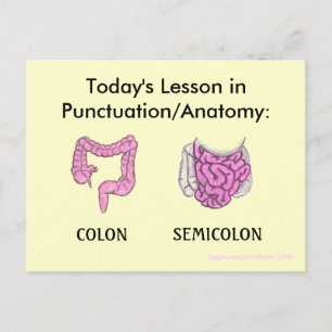 Carte postale Ponctuation/Anatomie