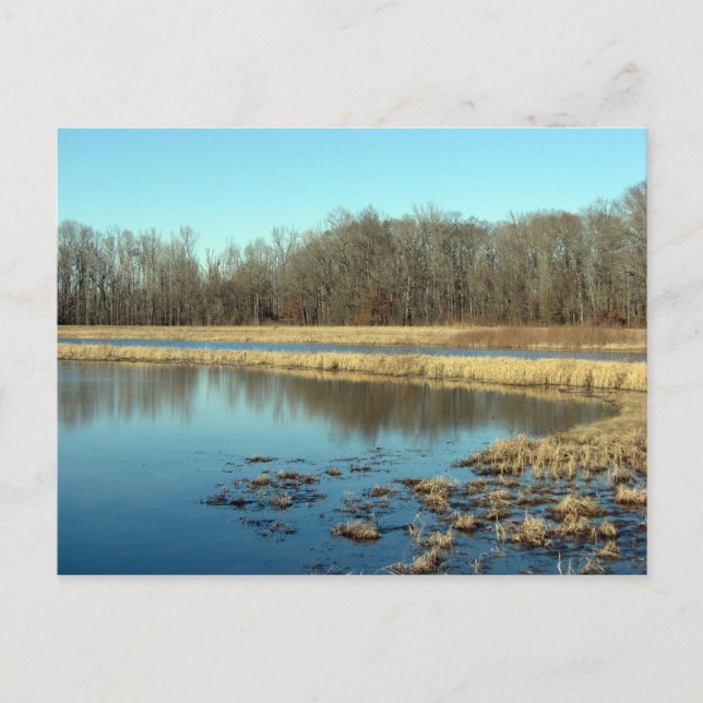 Carte Postale Pond (Devant)