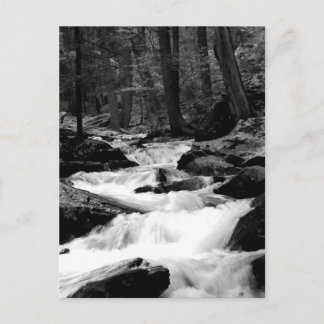 Carte Postale Pond Run Creek