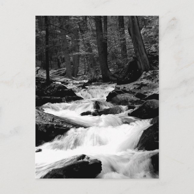 Carte Postale Pond Run Creek (Devant)