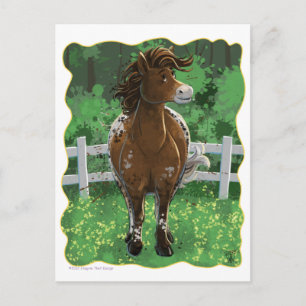 Carte Postale Poney Appaloosa