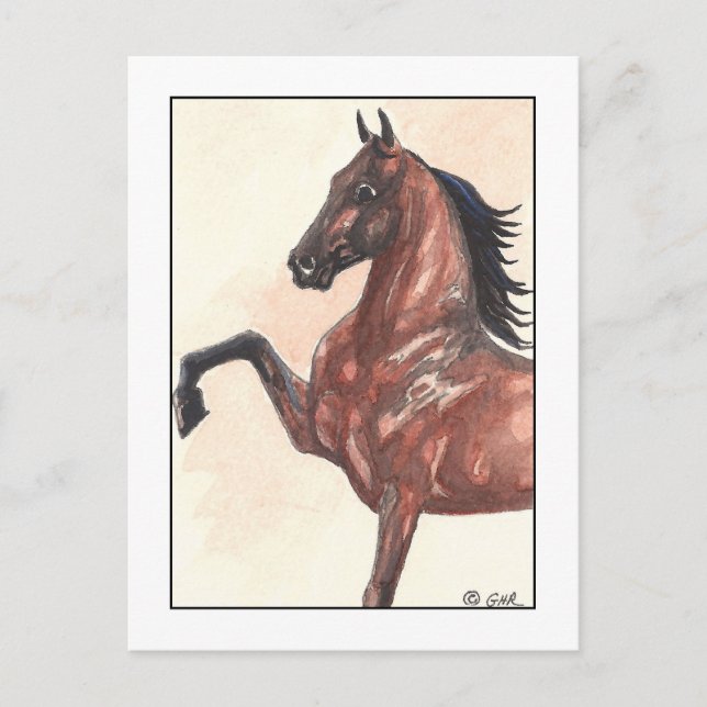 Carte Postale Poney de baudrier de baie 1 (Devant)