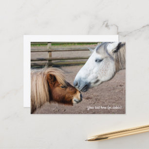 Carte Postale Poney des Shetland et poney Highland