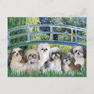 Carte Postale Pont - 6 tzus chiites