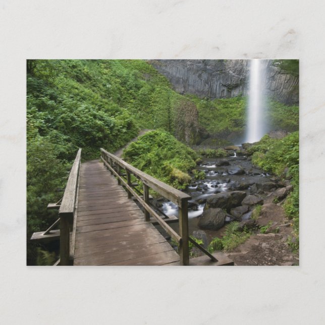 Carte Postale Pont à Latourell Falls, Columbia River Gorge, (Devant)